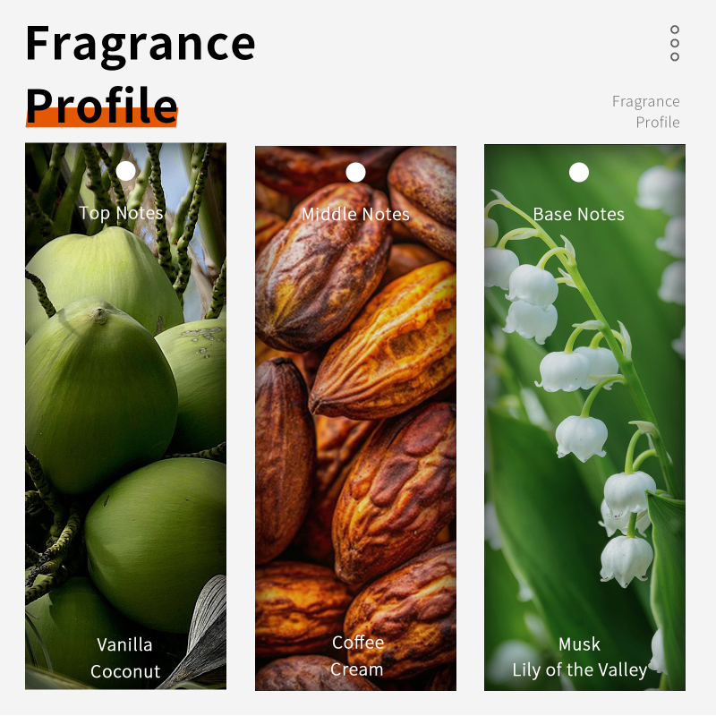 60ml capuchino De Chocolate Ea - Home Fragrance Vanilla Musk reseña y precio